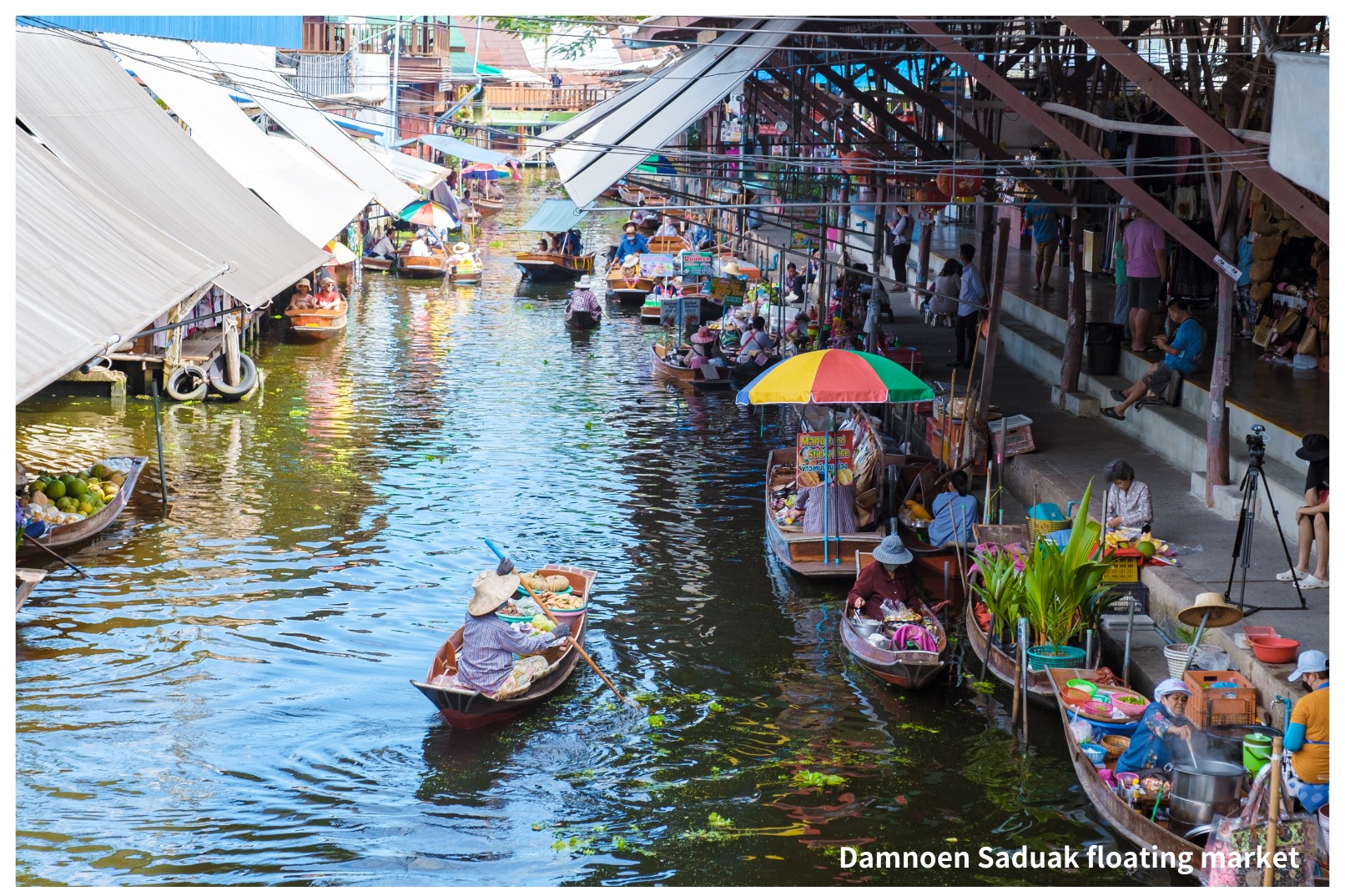 Classic Thailand Day Tour - Damnoen Saduak Floating Market & Elephant Camp - HolidaySG