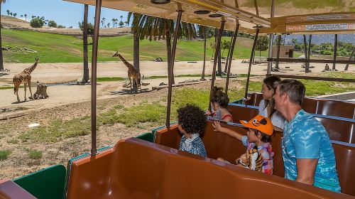 San Diego Zoo and Safari Park 2-Visit Pass Ticket Day Tours