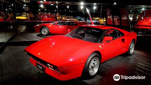 Torino Museum - HolidaySG