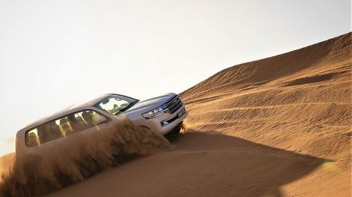 Dubai Red Dunes with Sandboarding, Camel Ride, Falcon & VIP Camp Day Tours