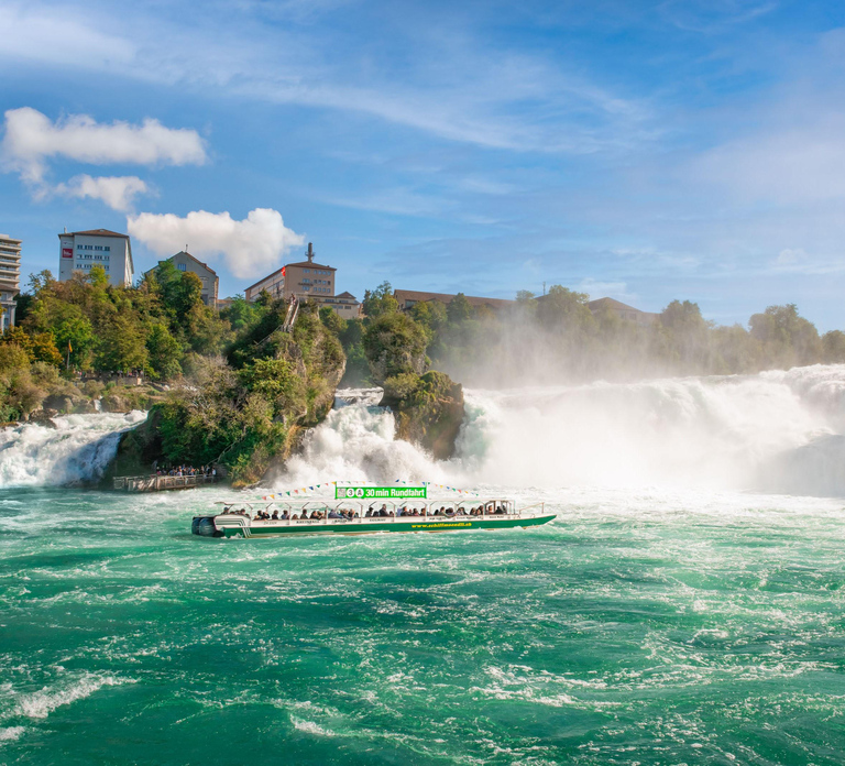 Neuhausen am Rheinfall: Rhine Falls Boat Tour