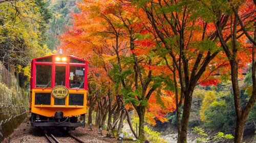 Kyoto Arashiyama + Sanzen-in one-day tour, stroll through bamboo groves Day Tours
