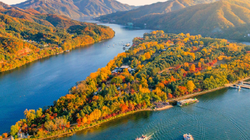 Seoul - Nami Island Round-trip Shuttle Bus Ticket Transport Passes - HolidaySG