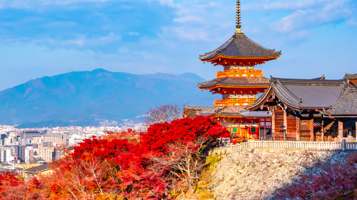 Nara Park + Kiyomizu-dera Temple + Ninenzaka and Sannenzaka + Fushimi Inari Taisha day tour [Private tour for 1 person] Day Tours