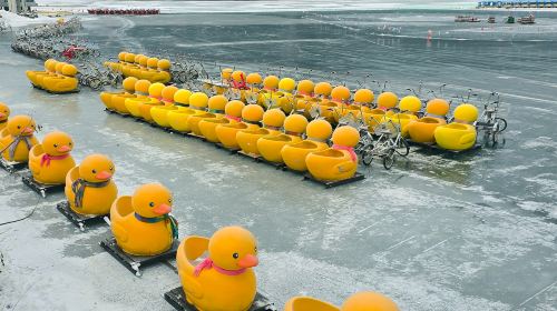 Strawberry Picking + Jam Making + Nami Island + Garden of Morning Calm Lighting Festival 1-Day Tour