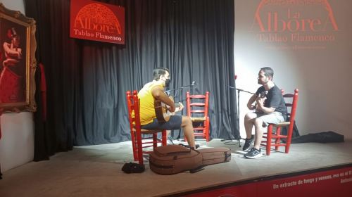 Granada: Flamenco Class with the Cast of Tablao La Alboreá Day Tours