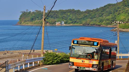 Izu Tokai Bus Free Ride Pass