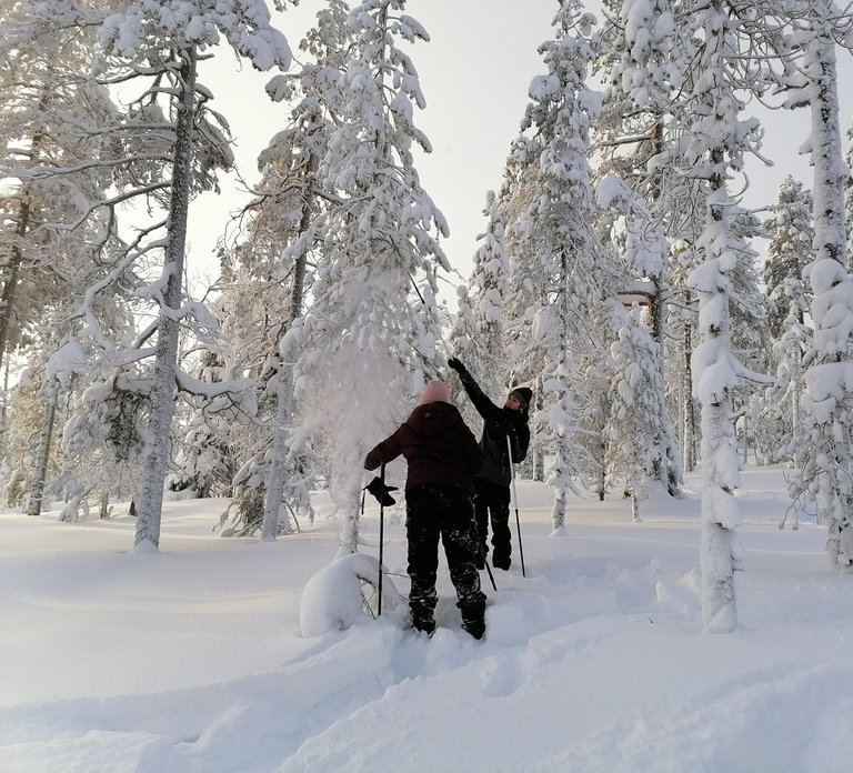 Rovaniemi: Private Snowshoeing and Ice Fishing Tour