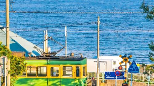Kotoku-in + Komachi Street + Enoshima + Tsurugaoka Hachimangu one-day tour with free Enoden train experience - HolidaySG