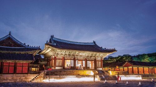Night stroll through ancient palaces | Tranquil evening visit to Changgyeonggung Palace Day Tours