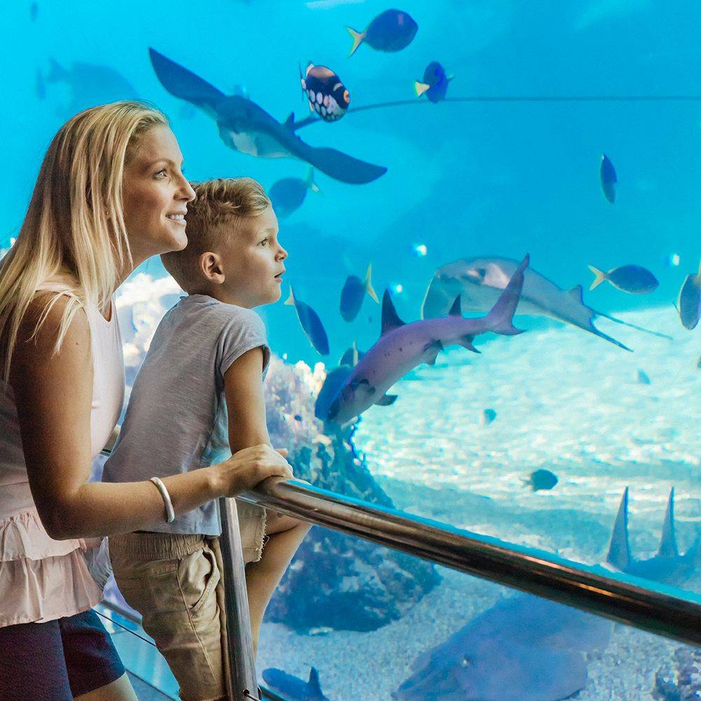 Sea World - HolidaySG