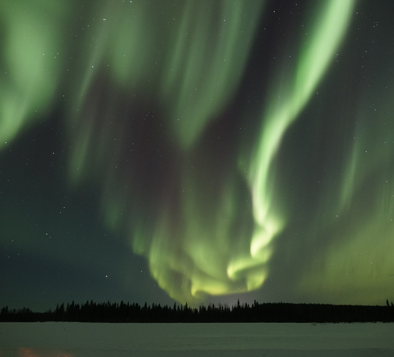 Saariselkä: Aurora Photo Tour by Car with Transfer & Drinks