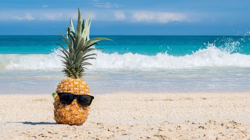Oahu's Ultimate Grand Circle Island Tour with Snorkeling and More Day Tours