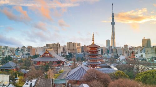Tokyo: Half-Day Morning Small Group Tour Day Tours