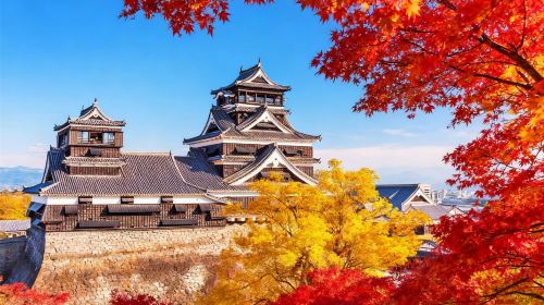 Kumamoto Castle, Aso Crater, Kusa-Senri Adventure with Horse Riding from Fukuoka or Kumamoto Day Tours
