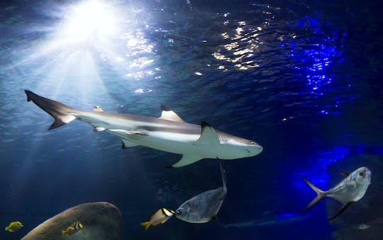 SEA LIFE Speyer Entrance Tickets