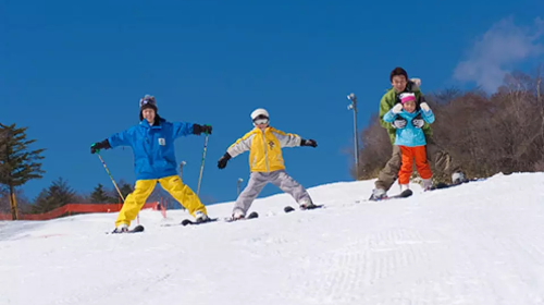 Mount Fuji Yeti Ski Resort & Strawberry Picking in Japan: 3-hour snow fun + strawberry picking 1-day tour