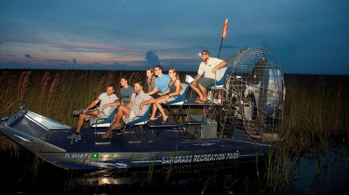 Florida Everglades Private Night Airboat Ride Tour  Day Tours