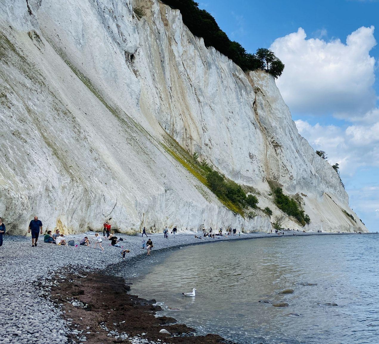 From Copenhagen: Round-Trip to Møns Klint and Forest Tower