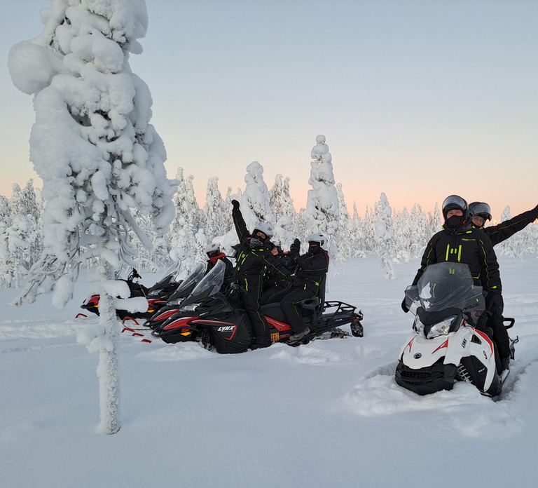 Rovaniemi: Full-Day Snowmobile Adventure