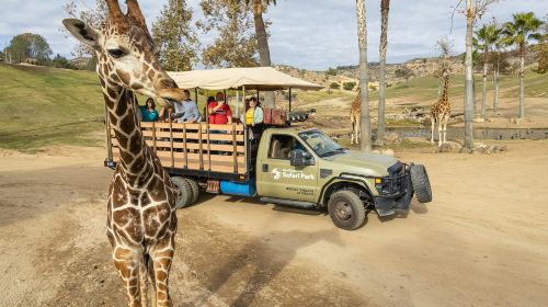 San Diego Zoo Safari Park: Entry Ticket