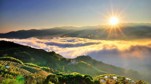 Alishan National Forest Recreation Area + Sisters Pond + Shouzhen Temple + Giant Trees + Small Train one-day tour Day Tours