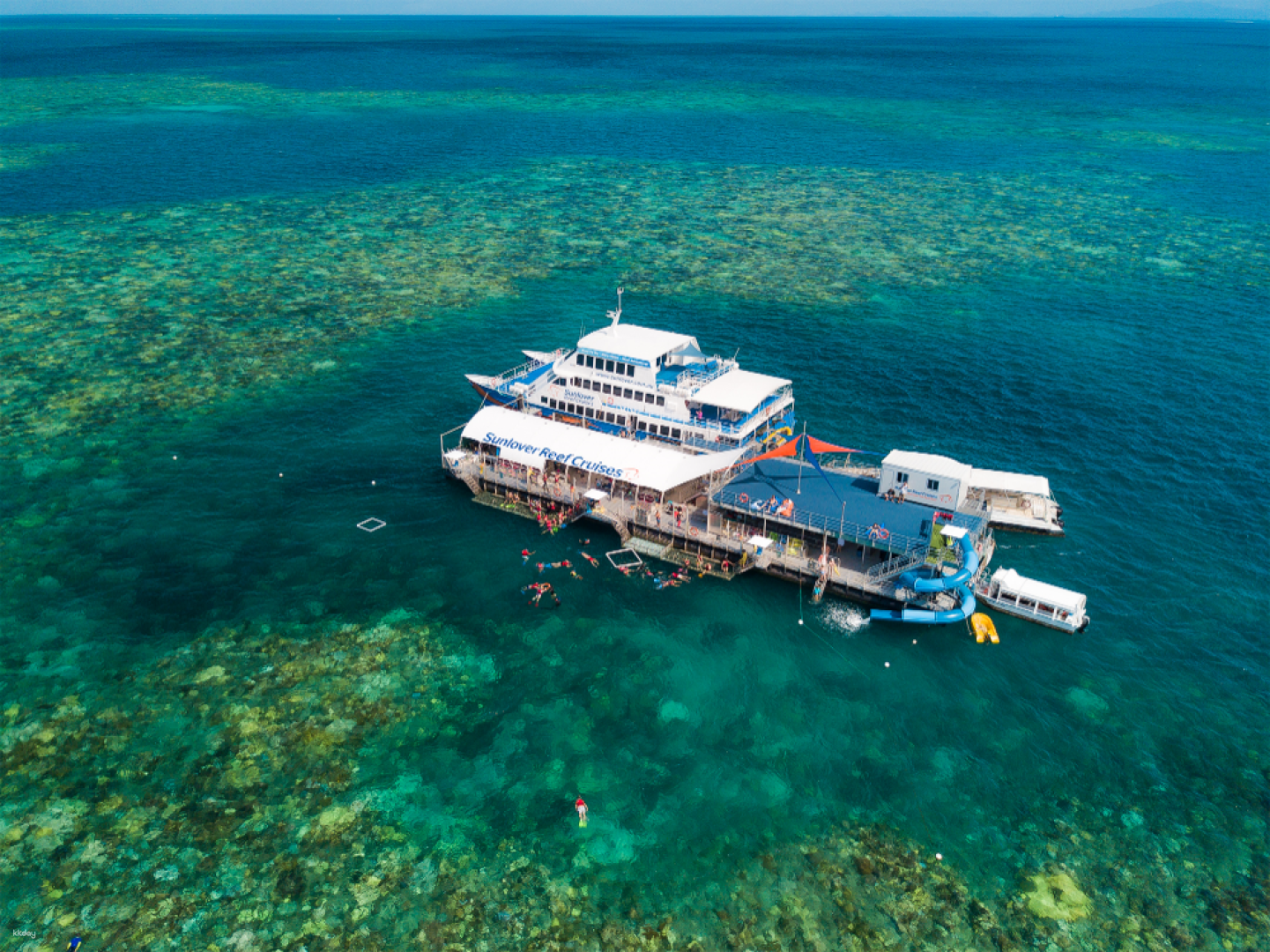 [Eco Tour] Moore Reef Full Day Tour by Sunlover Reef Cruises | Cairns