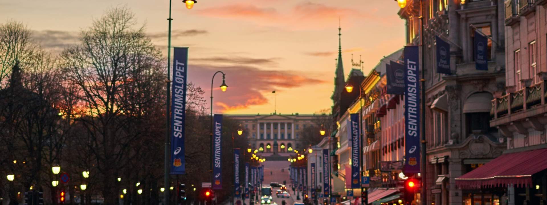 Oslo Long Live the King Private Tour