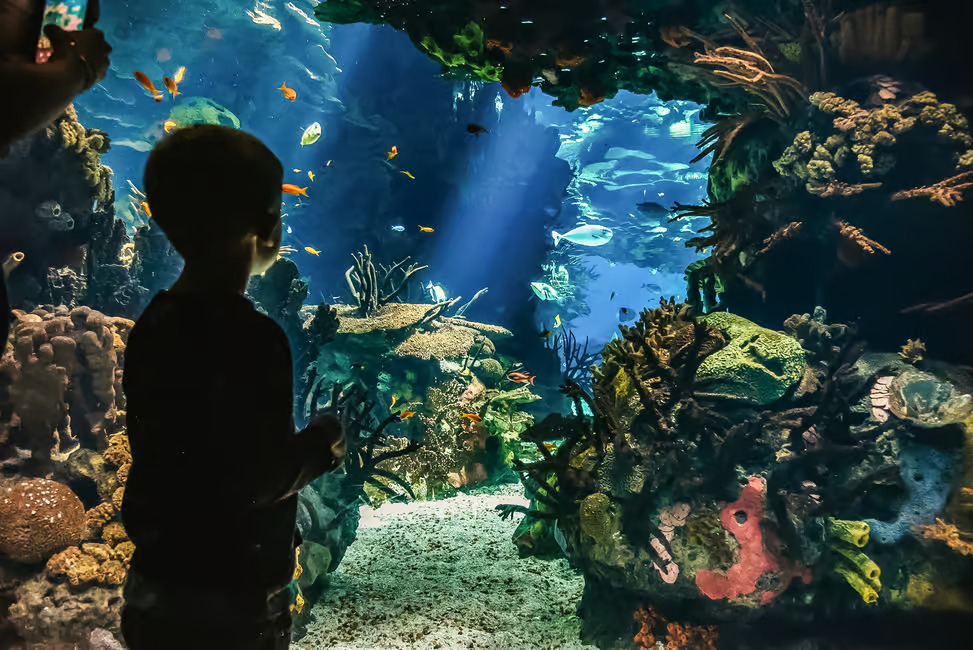 Oceanário de Lisboa