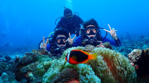 Pingtung Liuqiu Island diving Experience Scuba diving 2 hours [Xiaoliuqiu One-to-one No License diving Experience | Bear diving]