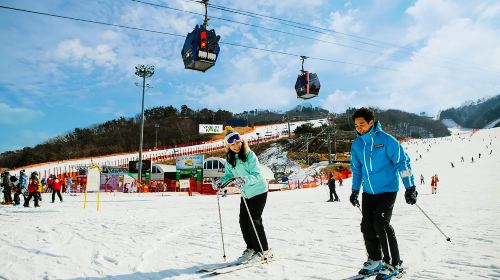 [Official Collaboration · Early Bird] Korea's Daming Vivaldi SONO | Self-Guided Skiing Option Day Tours