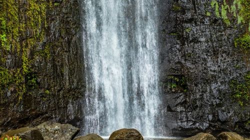 Self Guided Hike Trail to Nature Walk & Waterfall Day Tours