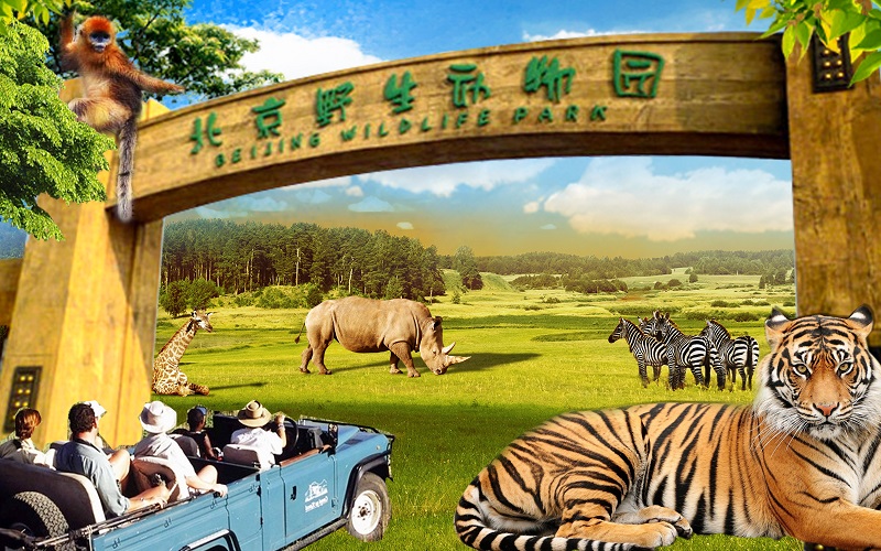 Beijing Wildlife Park Tickets