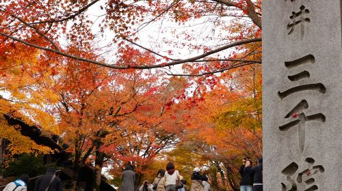 Kyoto Nanzen-ji Temple & Sanzen-in & Kifune Shrine Hidden Trail Day Tour Day Tours
