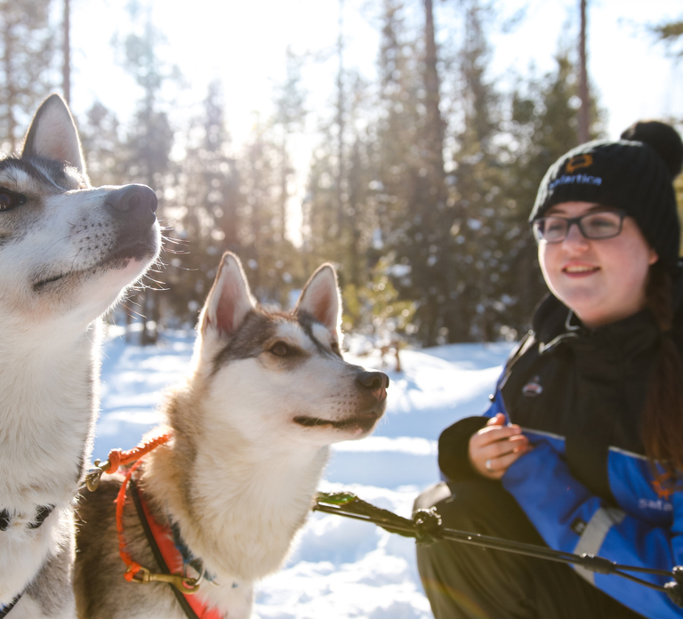 Rovaniemi: Daytime Husky Safari