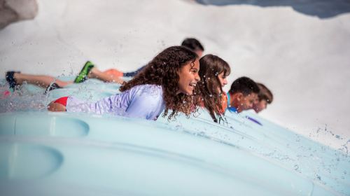 Walt Disney World Resort 1-Day Water Park Ticket Adult - HolidaySG