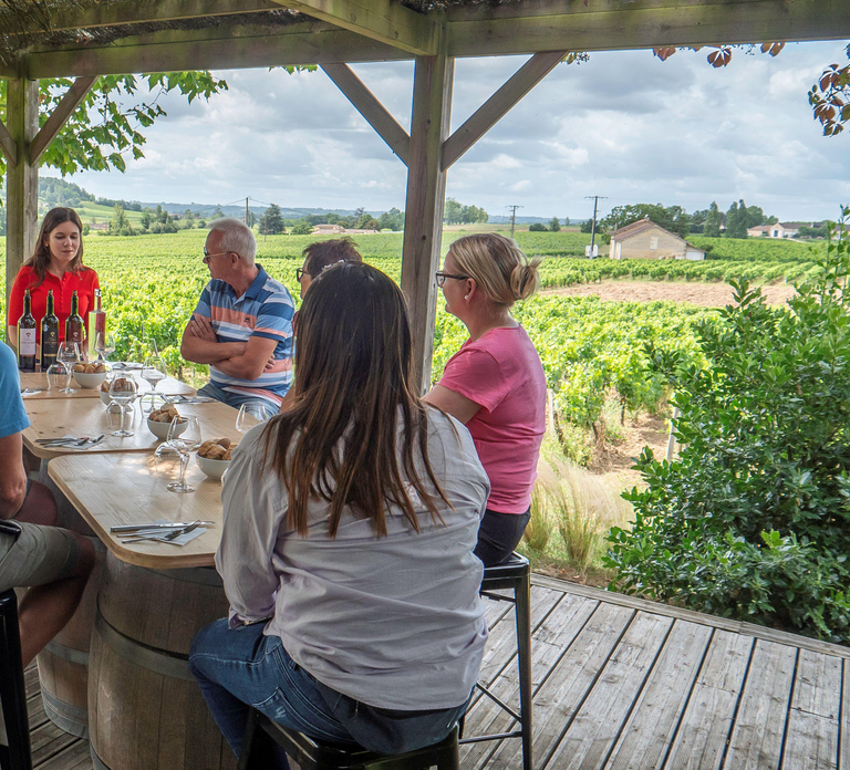 From Bordeaux: St-Emilion Day Tour with Tastings and Lunch