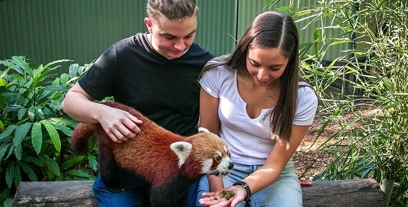 Currumbin Wildlife Sanctuary Tickets - HolidaySG