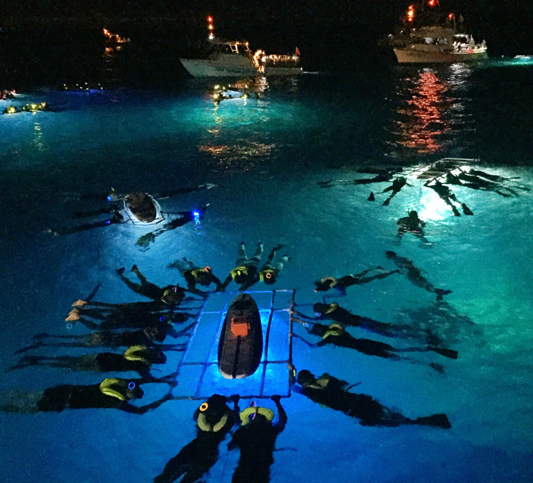 Kailua Kona: Night Manta Ray Adventure on the Big Island