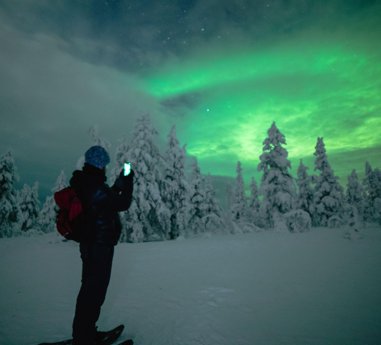Night Snowshoeing Lapland Experience