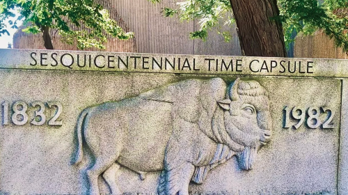 Buffalo airport pick-up/drop-off service/custom itinerary in the US Day Tours