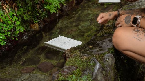 Kyoto: Hike and Hot Springs in Kurama Day Tours
