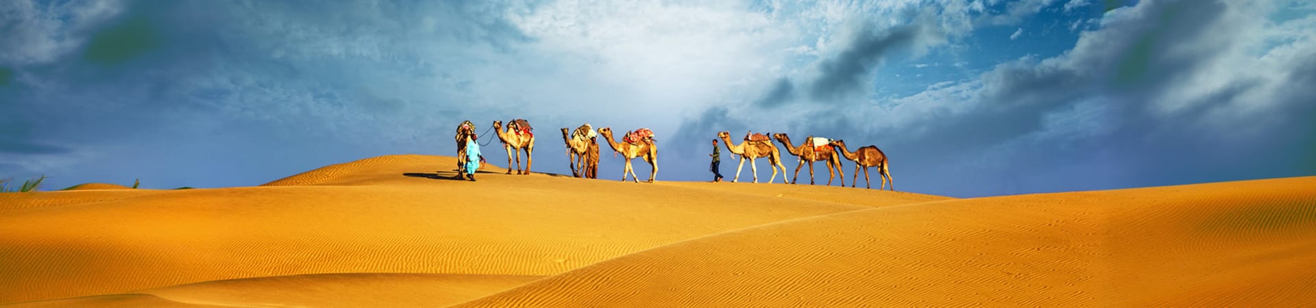 Camel Riding - HolidaySG