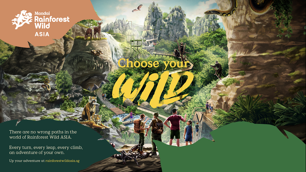 Rainforest Wild Asia