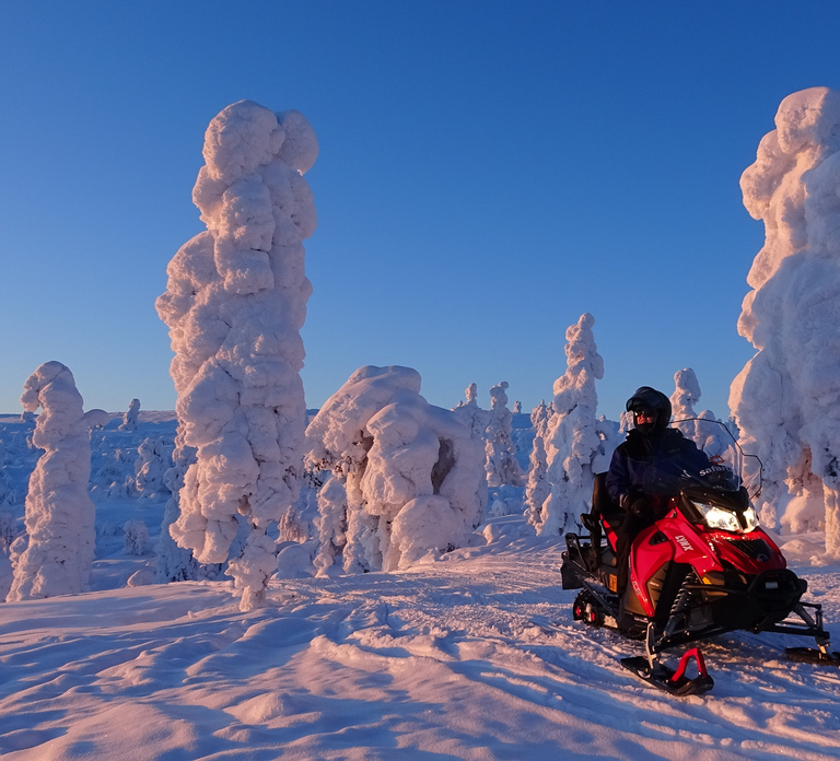 Levi: Evening Snowmobile Safari