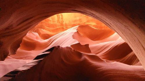 1-Day Grand Canyon Tour from Las Vegas: Stargazing & Sunrise Day Tours