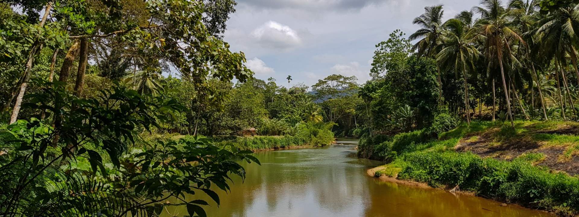 Sinharaja Forest Reserve Hike from Mirissa