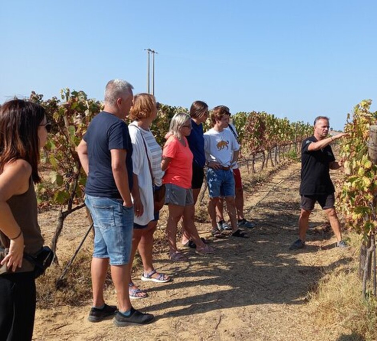 Albufeira/Vilamoura: Winery Tour with Wine Tasting and Tapas