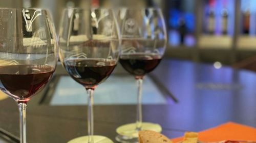 Museum of Brunello and Wine Tasting Adult