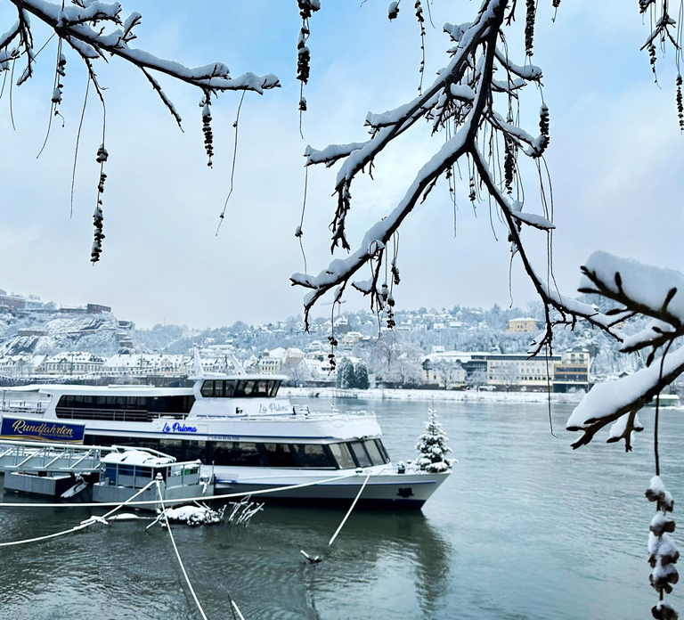 Koblenz: Christmas Boat Tour with Mulled Wine